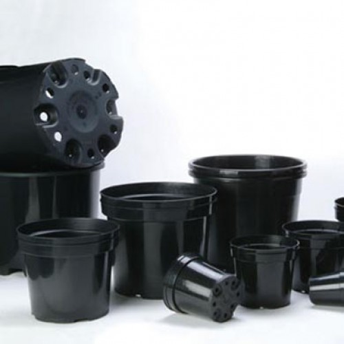10 Litre Black and Round Plastic Plant Pots | ScotPlants Direct